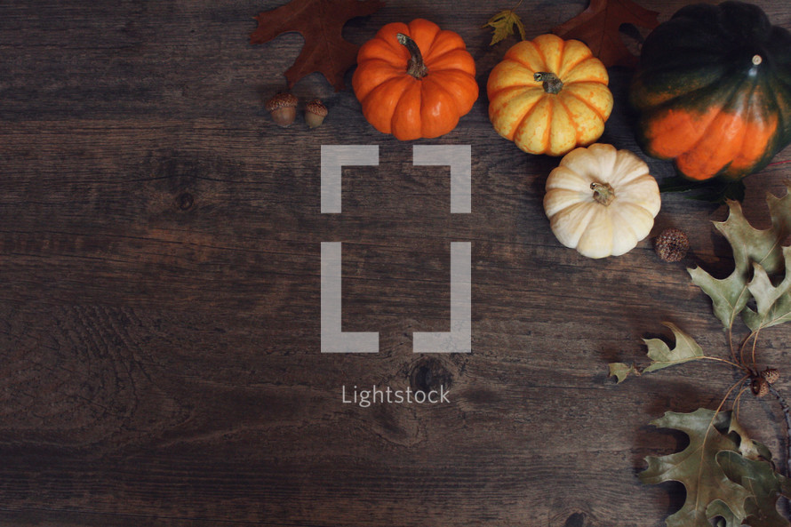 Fall Thanksgiving Holiday Background with Pumpkins, Leaves and Squash Over Wood