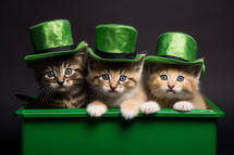 AI Generated Image. Cute St Patrick's day cats with green hats in the box