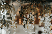 hanging branches with white flowers and bokeh lights 