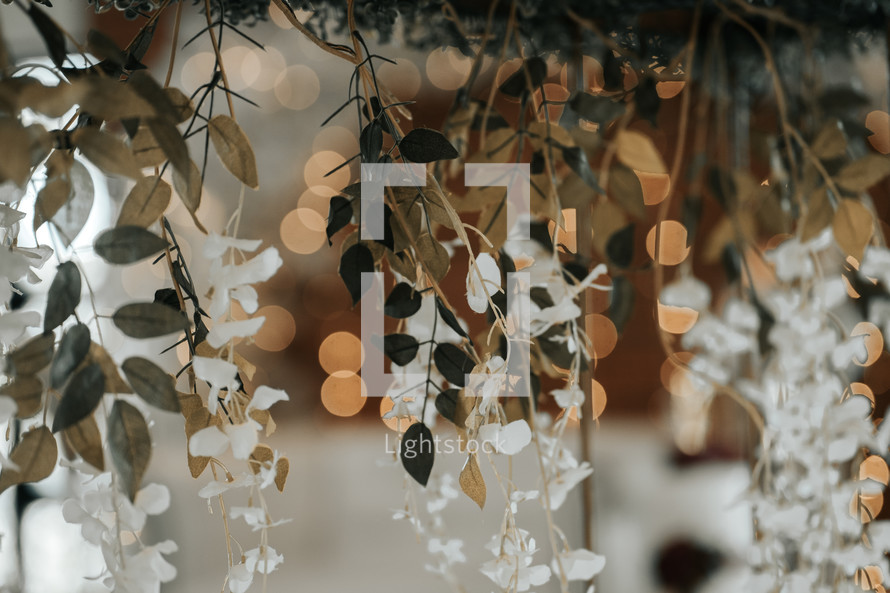 hanging branches with white flowers and bokeh lights 