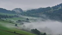 Dense fog moves over the rural landscape with grassy meadows and trees, 4K