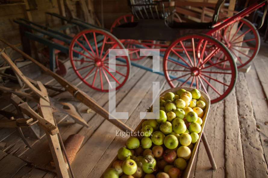 apples and an old wagon 
