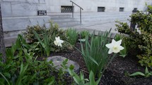 courthouse and flower bed along sidewalks in Salt Lake City 