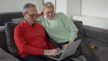 Mature couple looking at laptop, discussing news sitting on sofa.