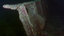 This wreck ship of the WW1 cargo Niobe which was sunk in the Atlantic around the Island of Ré has been filmed underwater, in August 2022.

The shots are taken with Sony A1 with SEL 2860 & Nauticam Housing and WACP1 underwater lens
Shot are native 4K120p in 422 10 Bits / edited with DaVinci Resolve