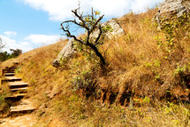 steps up a hillside in Africa 