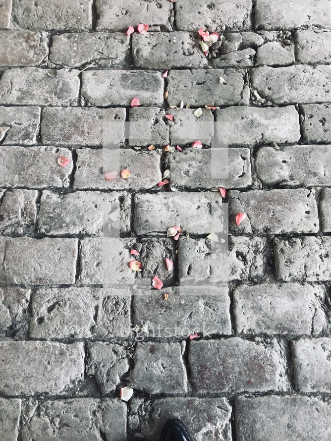 rose petals on cobblestones 