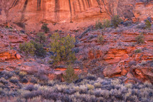 southwest canyons 