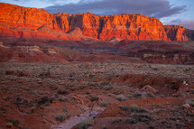 southwest canyons in evening 