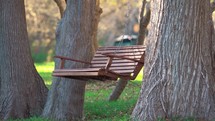 Swinging Bench in Woods Close Up