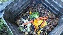 losing food into a compost bin 