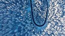 Aerial view of snowy winter forest. 