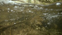 50/50 Over Underwater Moving in on Small Waterfall in Stream, Bog Meadow, Enniskerry, County Wicklow, Ireland

