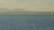Multiple sailboats on ocean in the Pacific Northwest region, slow-motion