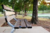a park bench near a lake 