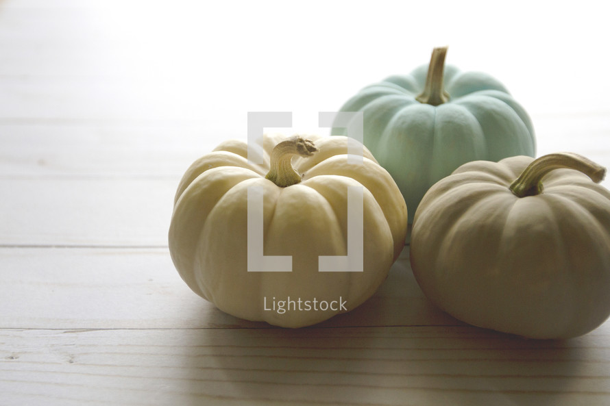 small pumpkins on a wood background 