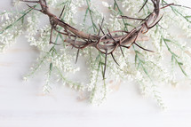 flowers and crown of thorns on a white background 