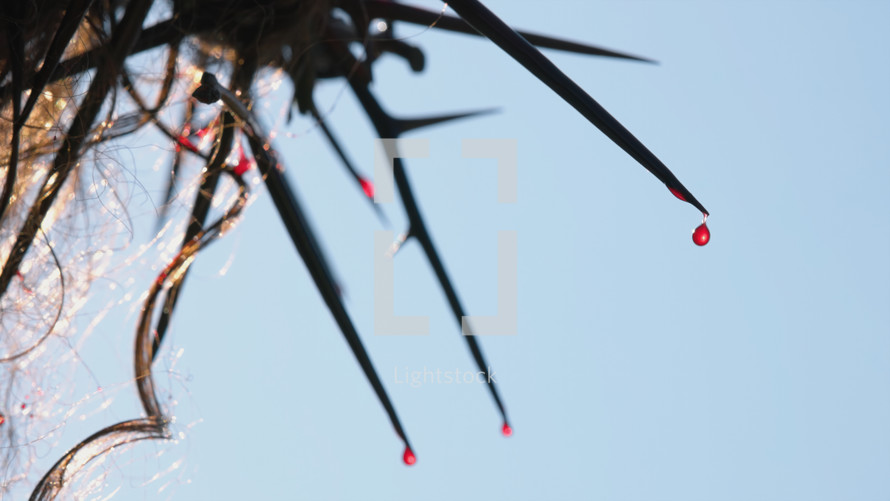 Drops of blood dripping from Jesus' crown of thorns.Focused detail, Depth Of Field
