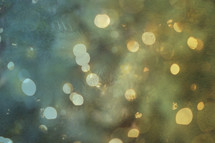 bokeh falling snow and evergreen background 