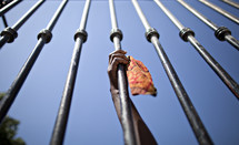 A hand holding onto an iron gate