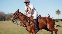 Argentina October 2023: Match on a horse in a polo club. Riders make a hit on a white ball on green grass. Players hit the ball a wooden stick to polo. Luxury game, slow motion.

