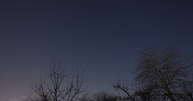 Tree Silhouettes Against Starry Sky On Nighttime. Timelapse