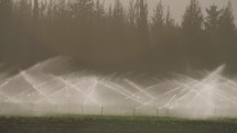 Slow motion of impact sprinklers irrigating a field during sunset