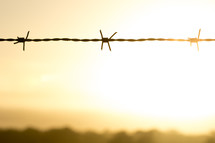barbed wire at sunrise