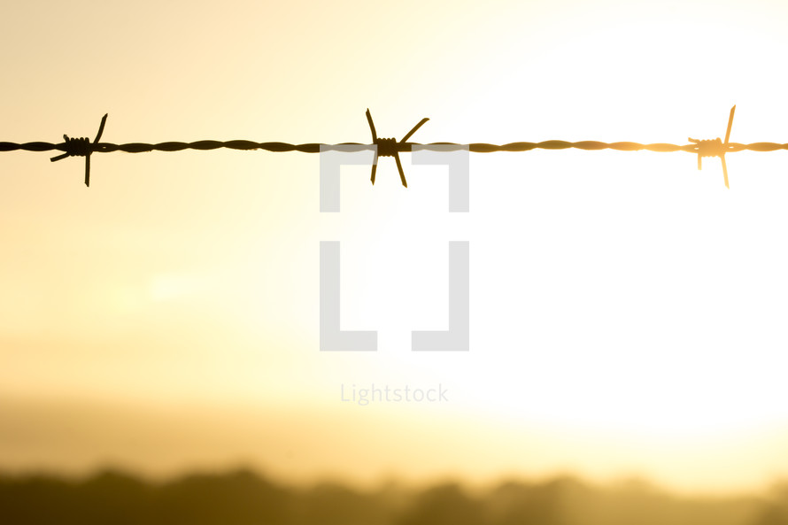 barbed wire at sunrise