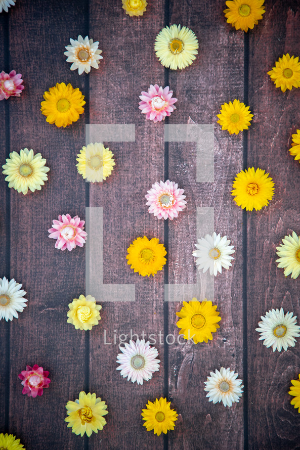 floral pattern on a wood background 