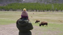 Tourist takes picture of grop of bisons. Yellowstone National Park, Wyoming and Montana, USA. 4K.
