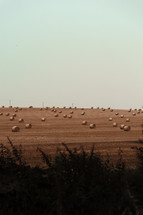 Farming and Agriculture, hay bales in a rural field, harvest farm setting