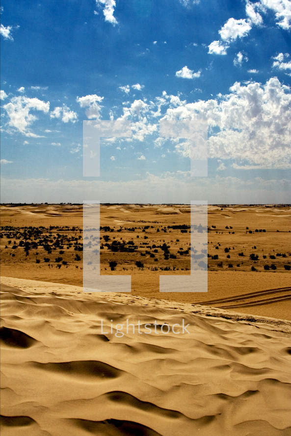 desert sand dune in Tunisia 