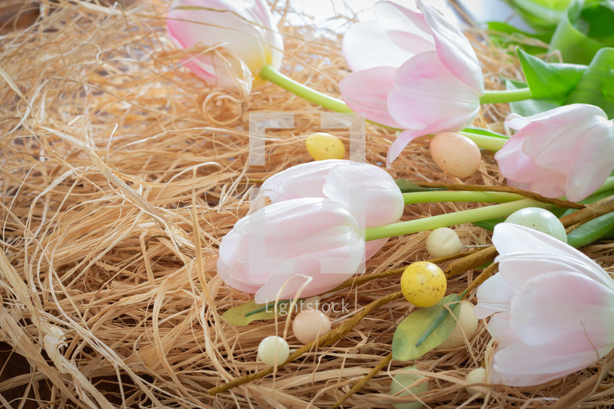 tulips and pastel Easter eggs in straw 