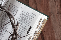 crown of thorns on the pages of an open Bible 