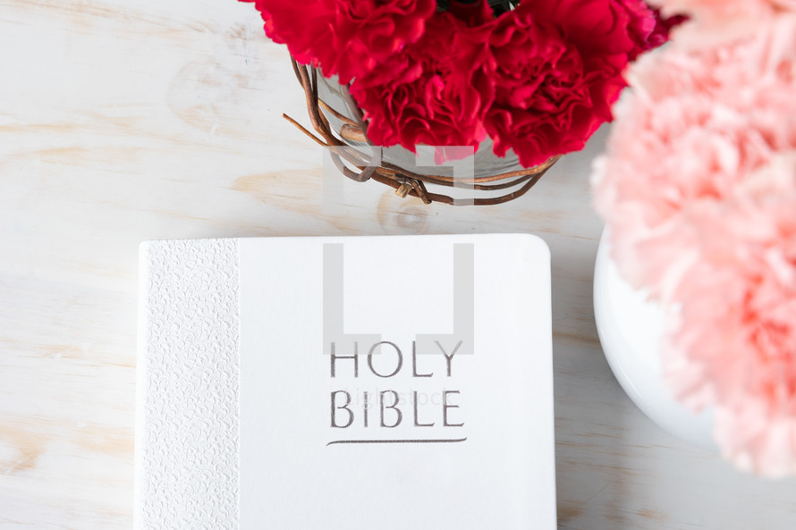 Bible and carnations on white wood.