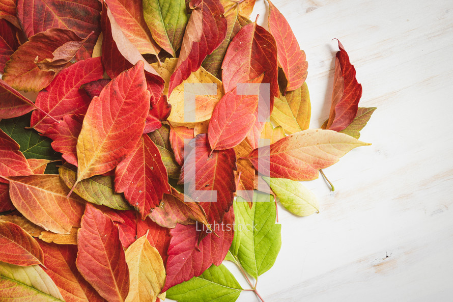 Background of rustic autumn leaves
