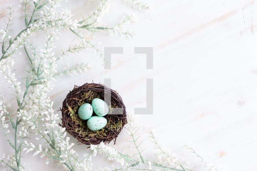 eggs in a bird's nest on a white wood background 