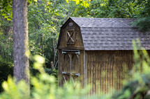 Barn Shed In Forest