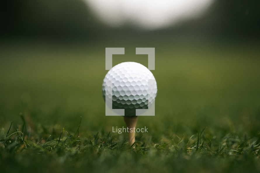 Golf ball on a grass golf course