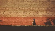 Easter Bunny In Front Of A Brick Wall, Copy Space 