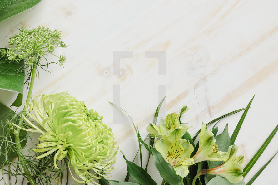 green spring flowers on a white wood background 