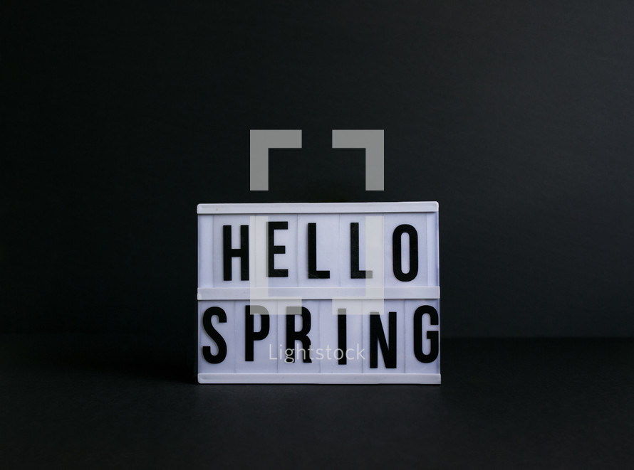 hello spring on black background, no leaves