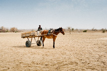 A black man sits in a horse drawn wagon in Africa