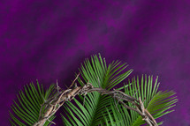palm fronds and crown of thorns on purple 