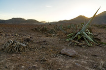 Andalusia cabo de gata desert in morning.