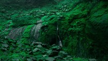 Green and wet rocky moss wall with waterfall in rainforest