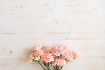 pink carnations against a white wood background 