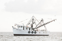 shrimp boat 