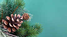 pine cones and greenery 